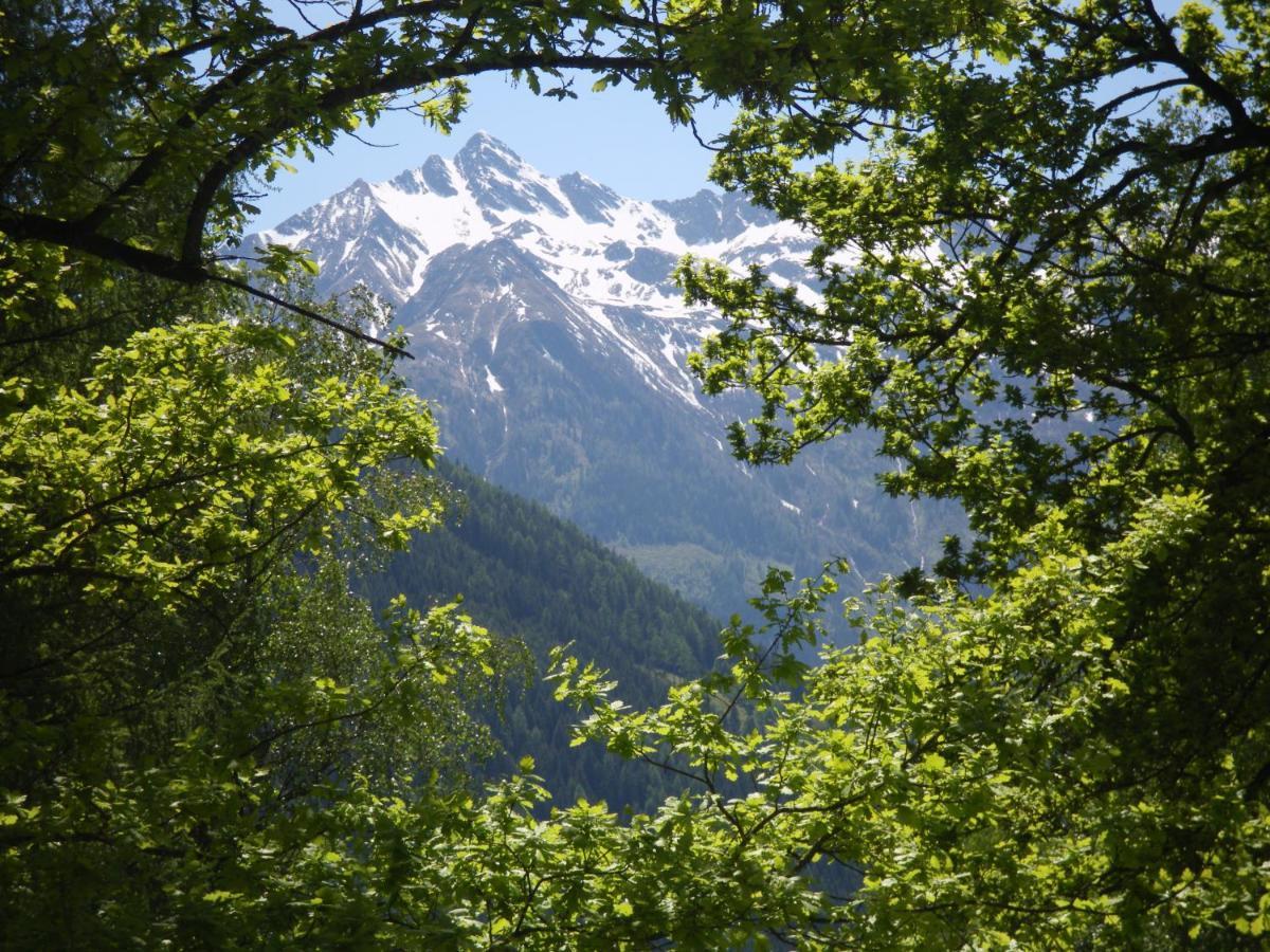 Appart Burgwies Ink Nationalpark Sommercard Stuhlfelden Buitenkant foto